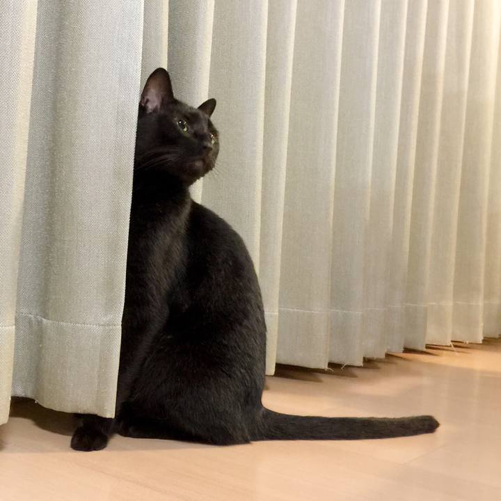 15ef4ce3 6f69 4379 a00e d3800252e4b6 1568553931207