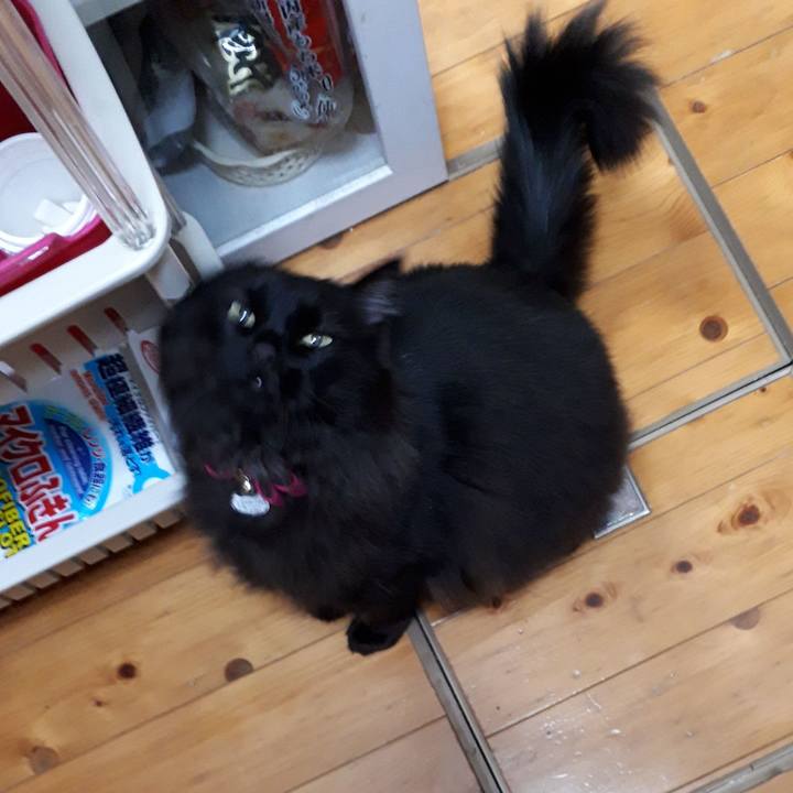 15ef576c c388 464a b8b8 b4090be43a68 1521799830696