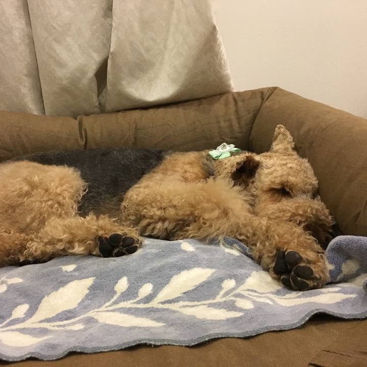 15ef6ff2 5c7b 4022 a374 d38ddbff5a0c 1536578748779