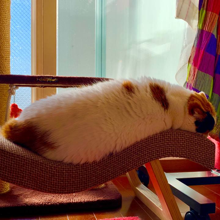 15efa933 9ce2 49a9 a1c1 38cefcef31ed 1568672095056