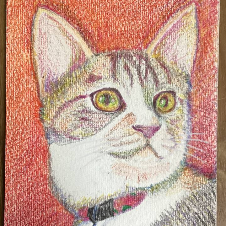 15efbe0f 6751 4573 85b1 00a3c94ce86f 1670016559310