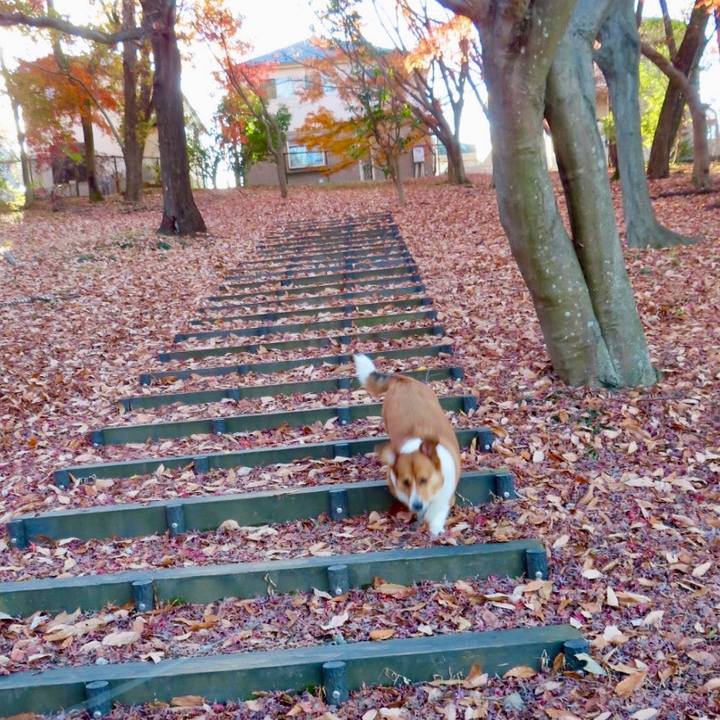 15f015eb 4a28 4148 aa88 cbde41b3f5f1 1671151042182