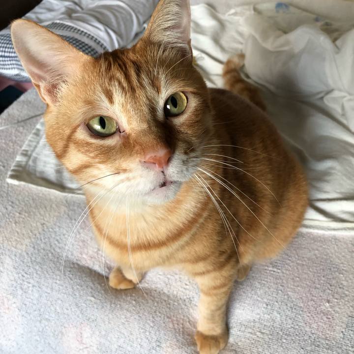 15f02487 d9c4 42fb 815f 9deb1910c193 1572558815369