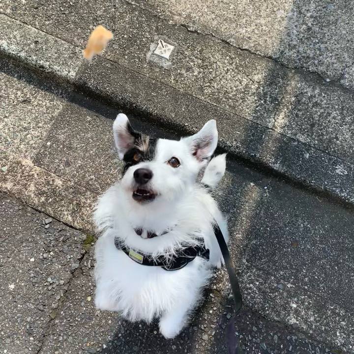 15f07d49 d765 4ab4 9544 9c2f1d9d77ee 1751152711921