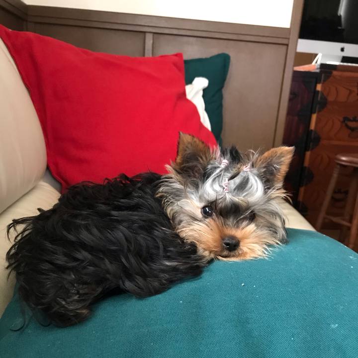 15f0a179 a4cd 43e2 8afb c75c86336110 1622358526762