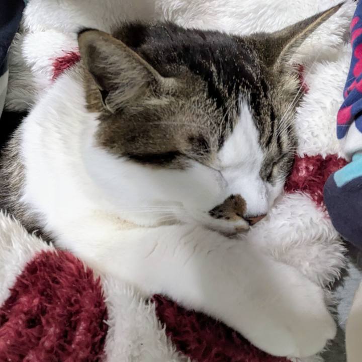 15f0abc0 7681 45c9 ae82 6c65acf8d139 1737963010962