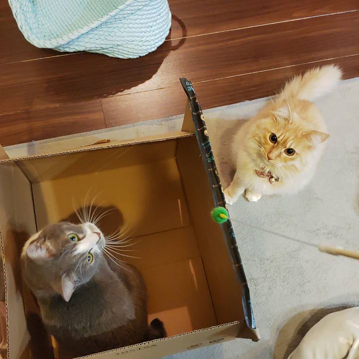 15f0b7c5 b8b1 4cb5 a5e7 c3b46b414e26 1668551076350