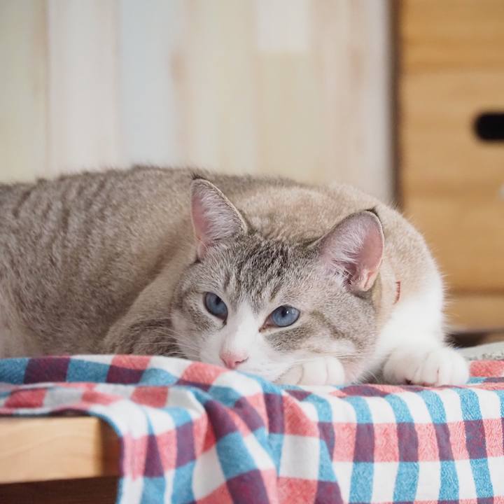 15f0d818 a8f0 4c0d aa9f 19a4781968b9 1600763144810