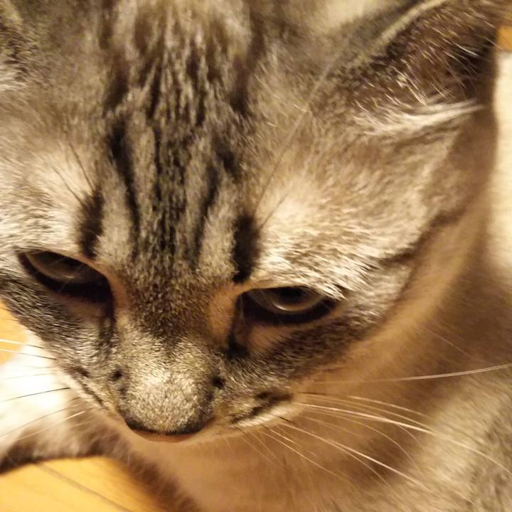 15f13ecc e53c 4b7c 9f7b f6f80a7446f7 1534590112466