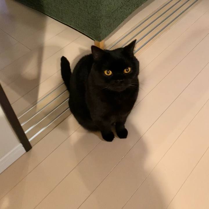 15f17f70 563c 49b0 907a 1e032185451f 1705063027342