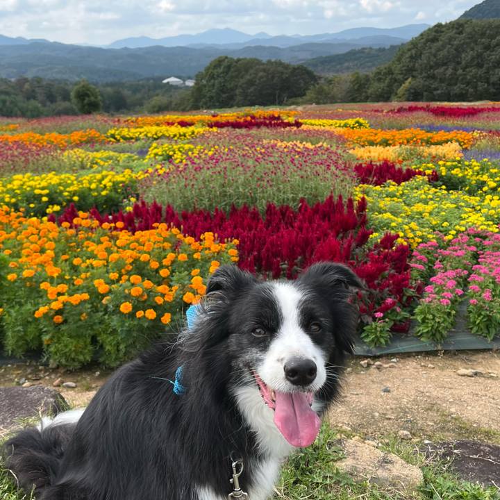 15f196a6 66af 4bd8 9cb9 e838eeaf8598 1759904041279