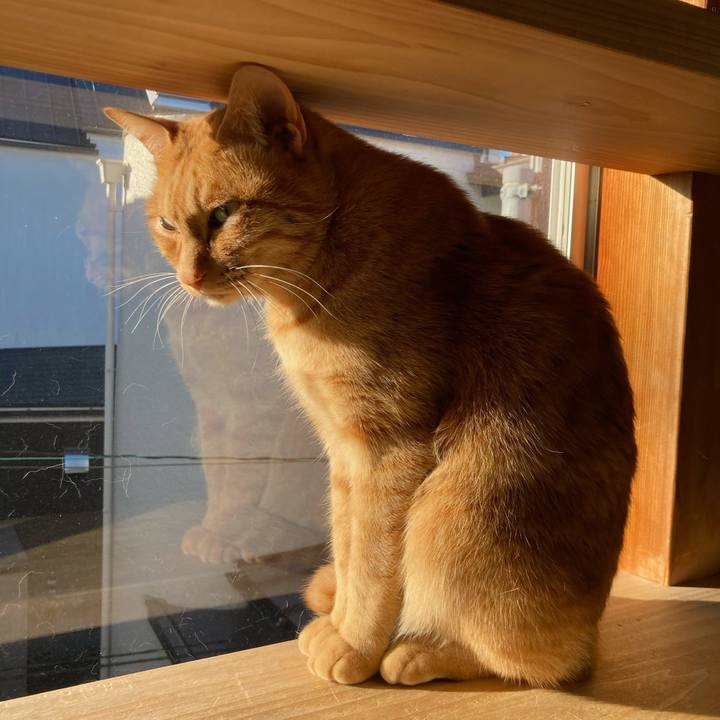 15f1b63f d933 42d5 a844 eabbbaa55ae0 1611963856244