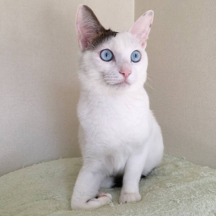 15f1e240 571c 45ba 907b ca7344a05036 1511944958653