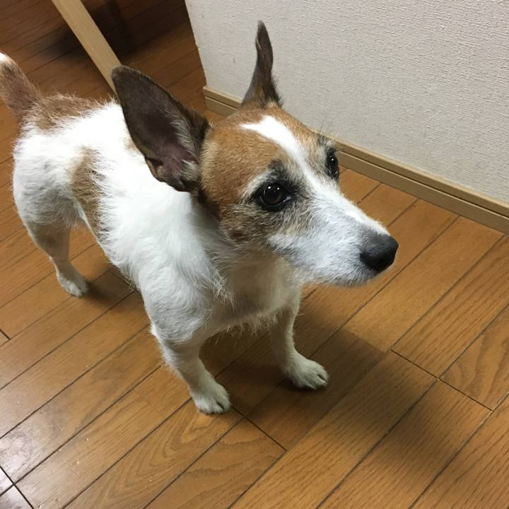 15f20023 c3b0 4f8b b448 b586edcd55eb 1573078858196