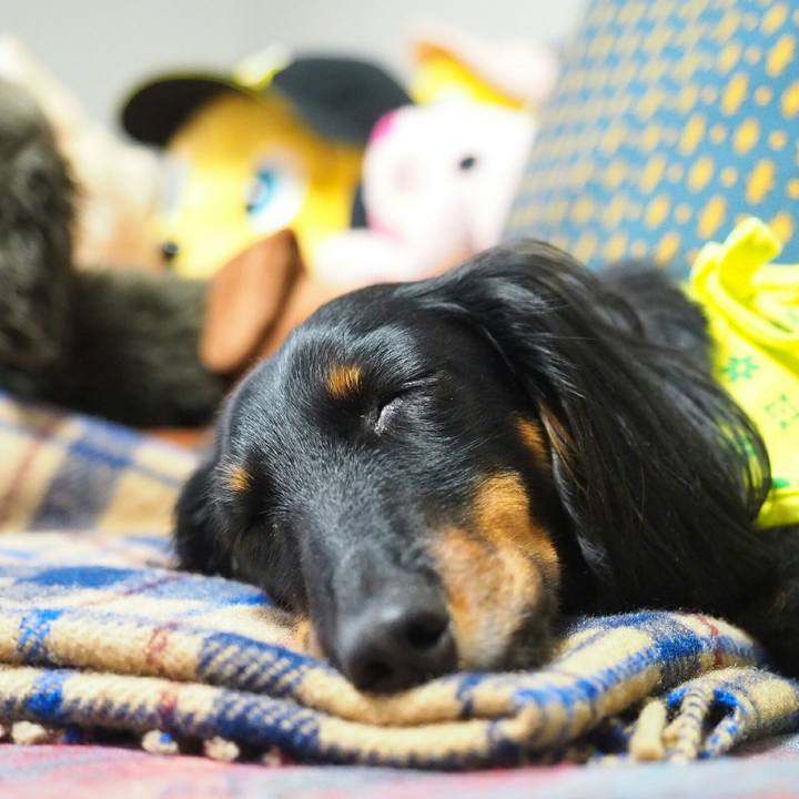 15f211e0 dac7 41f9 b3ab dfd9f46358bd 1523586415989