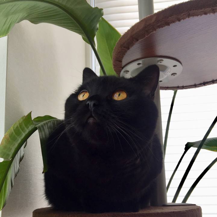 15f211e5 a989 4d6c b927 d50aa04647a6 1564784465614