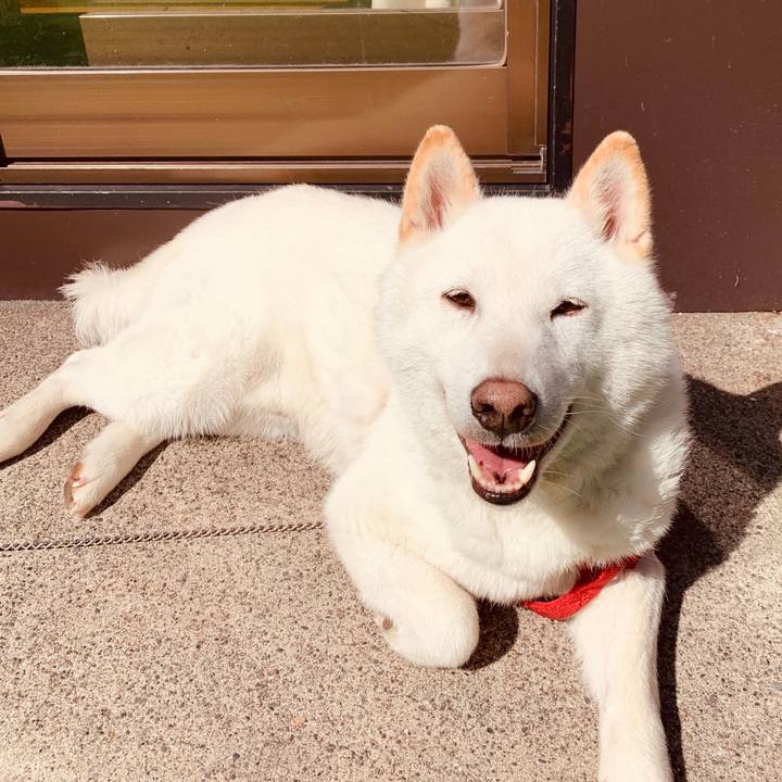 15f25035 6c9b 4882 8383 1defb6b437ad 1587102037390