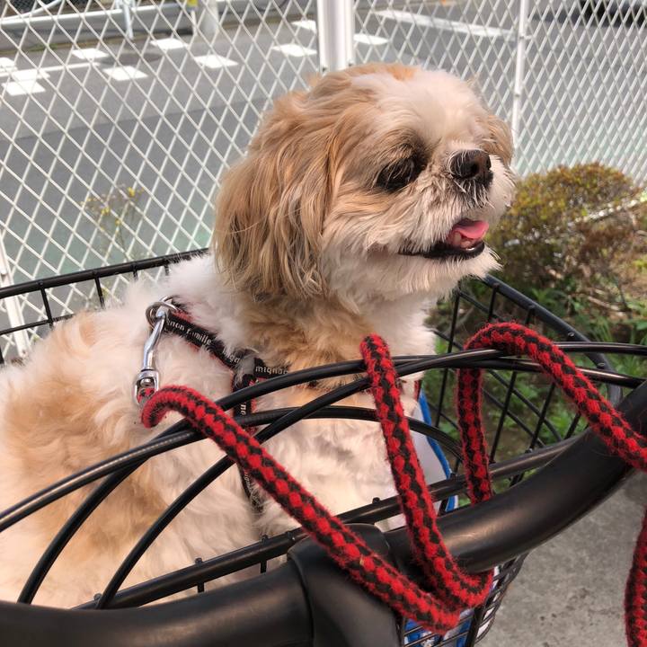 15f2937a cecd 4fbe a695 0a95cafd86d4 1590011257994