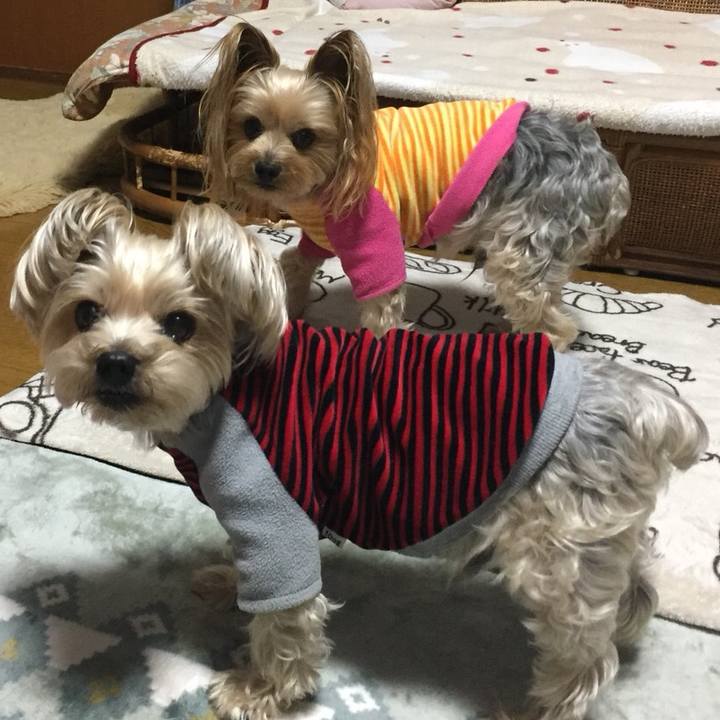 15f2dfe9 b7d7 45d1 ad8a b0a8a19b1fc1 1522751626396