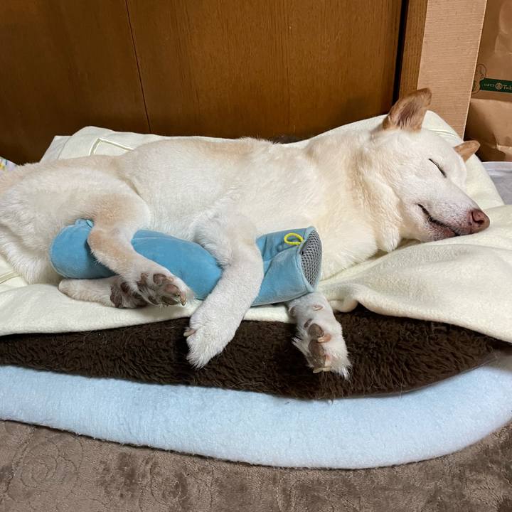 15f3141a f840 4553 8a89 de9db1839892 1635769102676