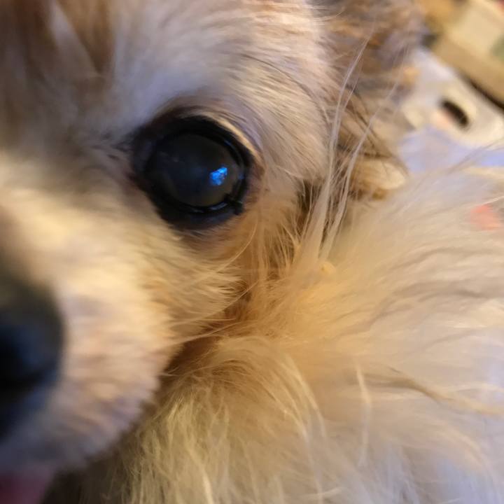 15f31613 12a7 4c6a a194 865dc5763027 1524036182329