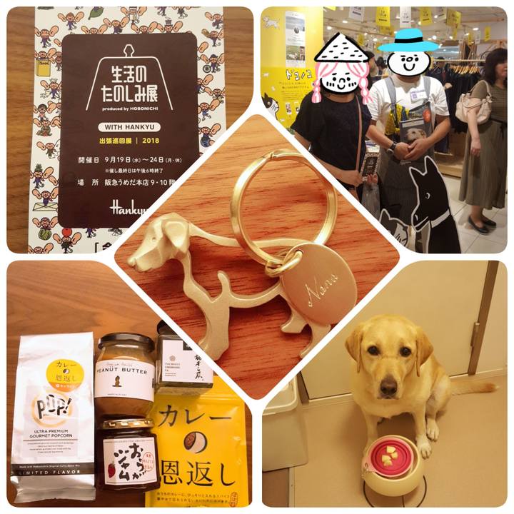 15f32bdb 78c1 4bca 8b56 170c99b51c2f 1537808715218