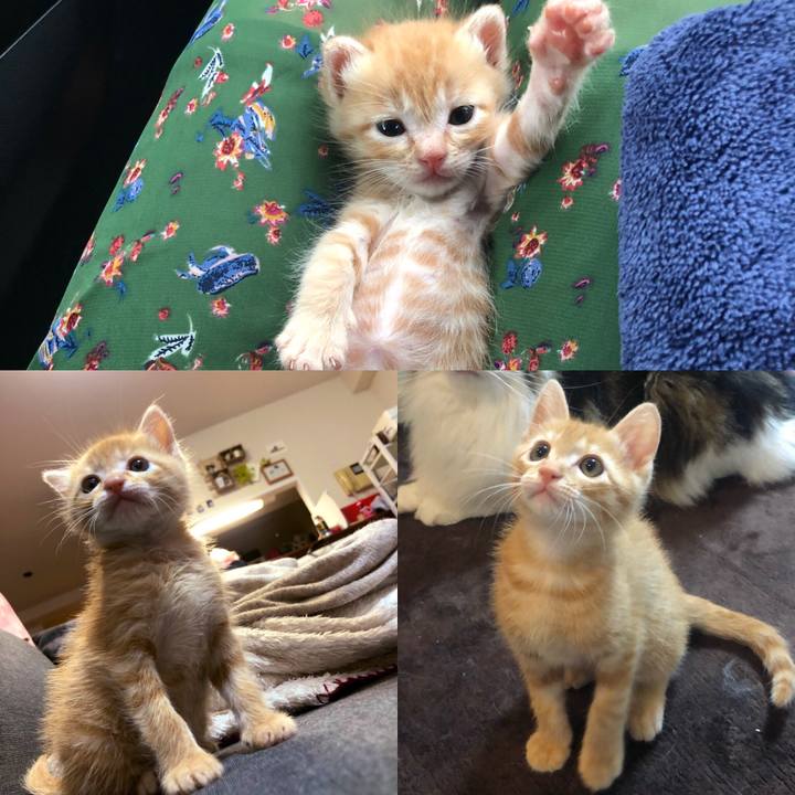 15f33b89 72fe 4c01 a1ce 405abf6d3c83 1563931319965