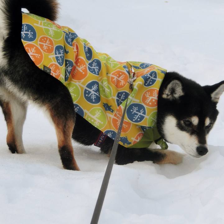 15f367b1 30c2 4437 9a76 9d06e4d37a50 1516270635336