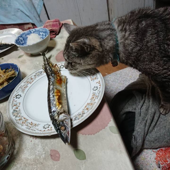 15f3a3ce f04b 462d ac41 329e4757cc22 1605700248464