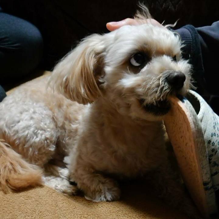 15f40ae2 2d2b 4e0b 865f 9e700f628c15 1609393448143