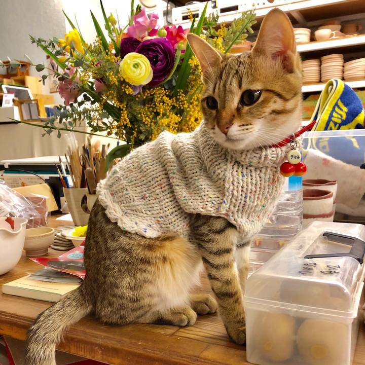 15f45faf db4f 4b0b b8e8 558a5c423bd8 1583560437539