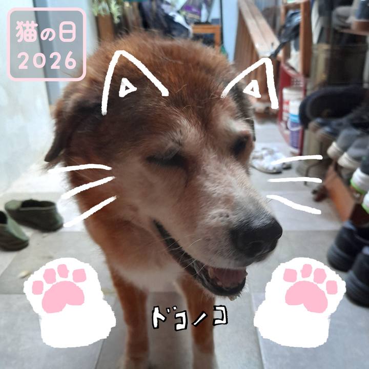 15f4e21c e796 440d bfe6 2ca185afeca8 1771794283924