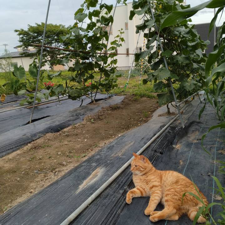 15f50794 1181 4f09 9f1a f6dcaac52300 1689672799403