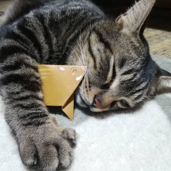 15f50b57 c3e5 4163 a4e9 1593b18419cb 1548848140738