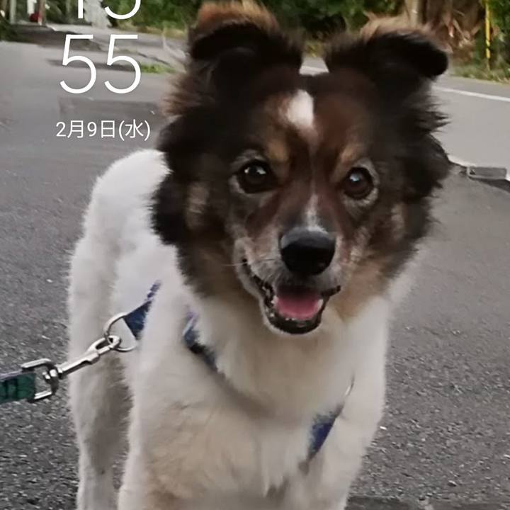 15f52641 ecfd 4034 a4ac b2bc26d94a7c 1644932948445