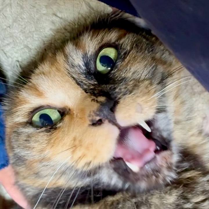 15f5955c e4f7 408b 9327 bcf4a9c1bbe2 1751314993109