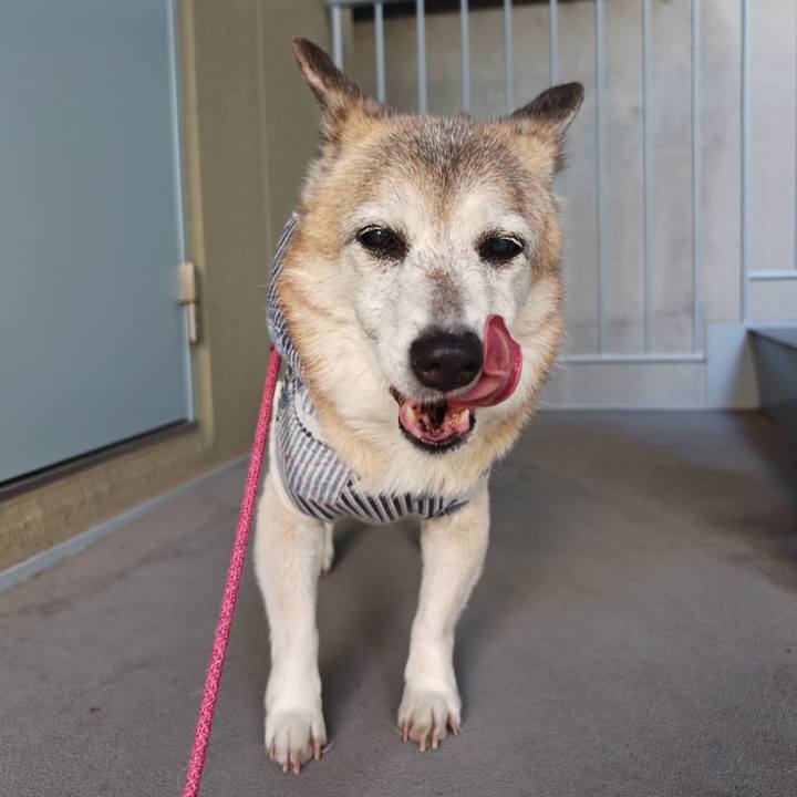 15f5cc1a 9e54 489c 8e76 edce446be53e 1771160719951