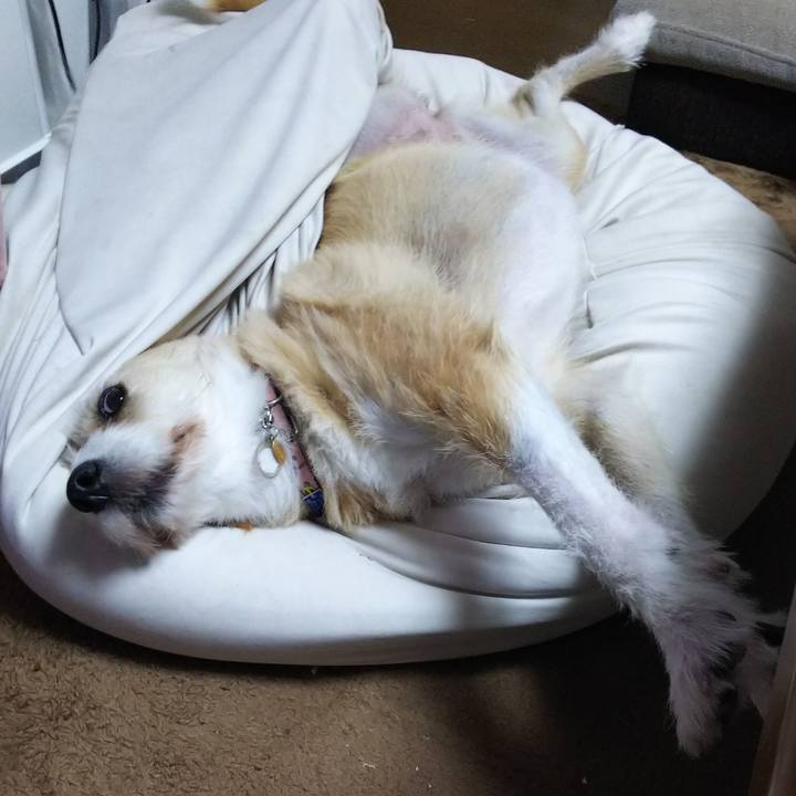 15f5f6b7 5f32 40cc b636 5a533d802645 1538659692030