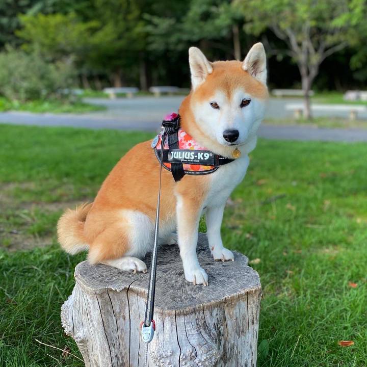 15f60f0b 3cef 4bee 8654 5fb4f2951540 1630502671092