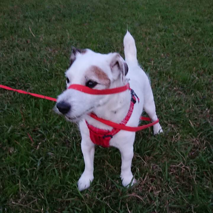 15f63791 9070 4999 ad23 074af3bd5258 1542151764218