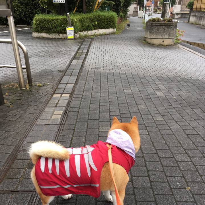 15f63869 bb4c 4b07 a50d e16b07b4fbe4 1613217573248