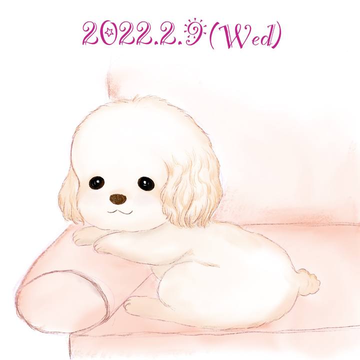 15f640e1 ed4d 447e b8c1 64f4f9d54ee6 1644410914301