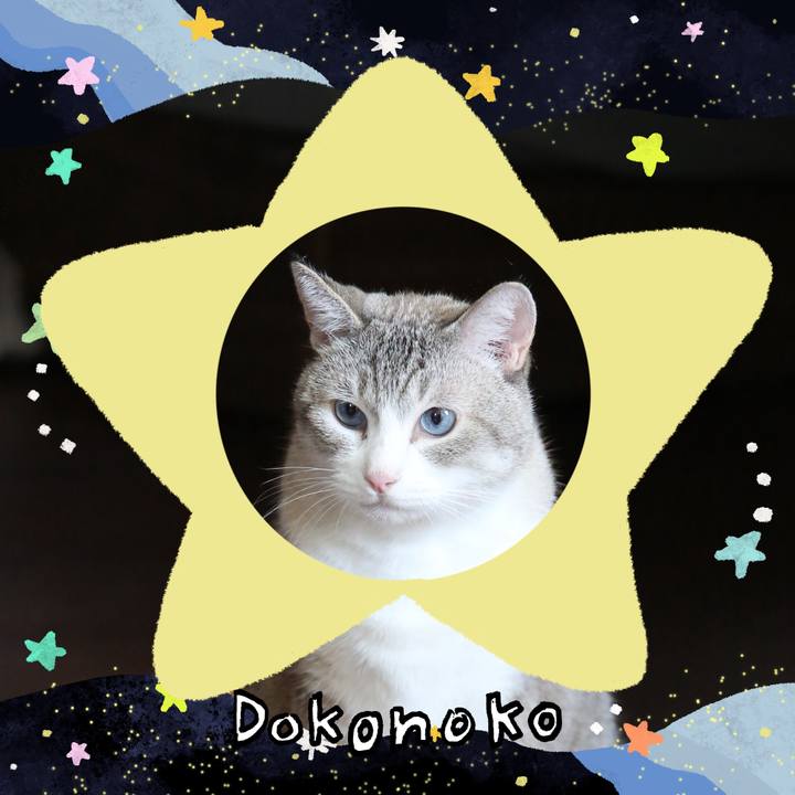 15f69ac0 ff57 4d98 b0ad 8fb4c8506c89 1721187912115