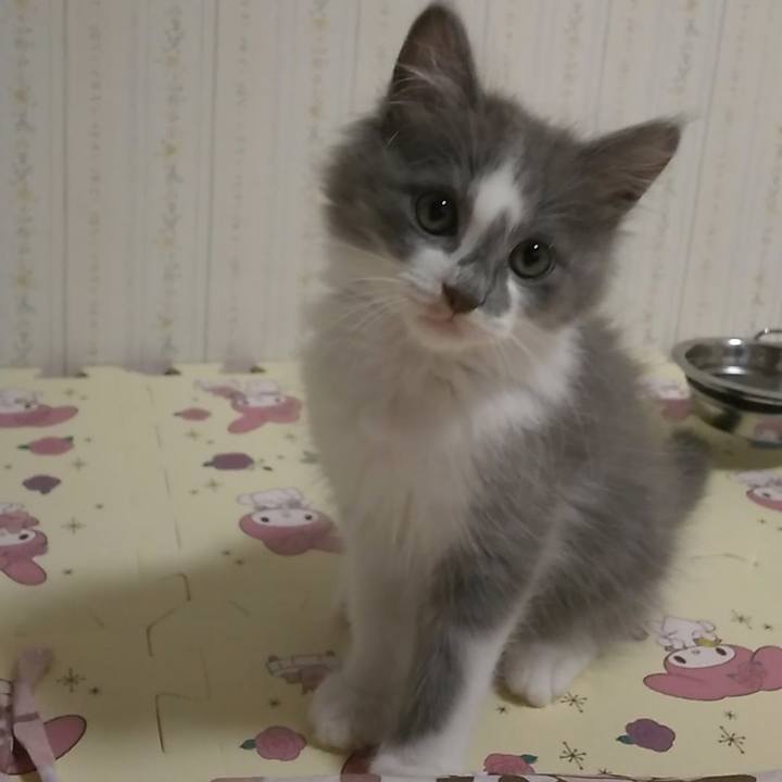 15f74a63 60a5 4ca7 936a 7c33e771ccc6 1561938372740