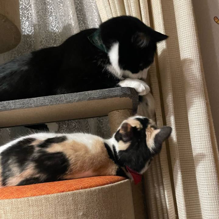 15f7818a da21 4d6b b928 bc3637c16e21 1716387212612