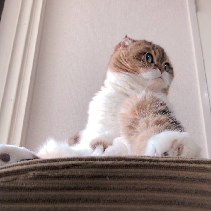 15f7a006 4b42 4d29 a1b3 05b5d3a5adfd 1552714846879