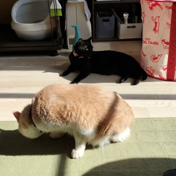 15f7c87f 26b5 49f0 8e26 a79fdfca167f 1658791416641