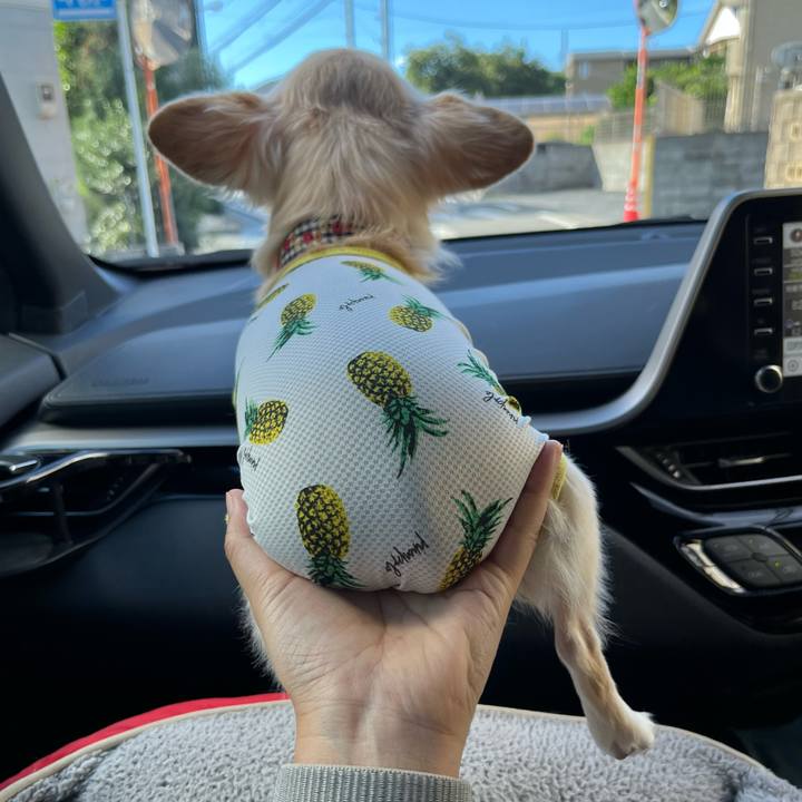 15f7ed37 40ef 4bb3 9422 60296b3f138a 1726388226062