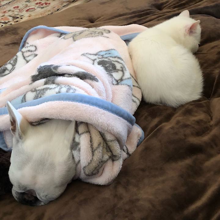 15f7fe9c 59e4 46a4 90f1 fd0e7fd7c888 1549163603608