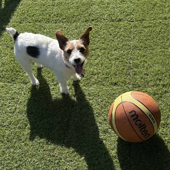 15f8478e 672b 4f1d b35b c6ec09a2a238 1772843565102